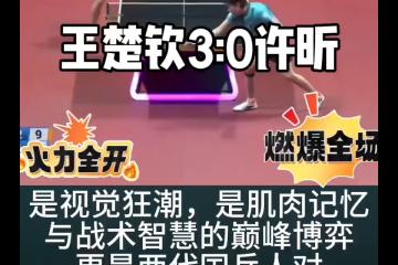 开云体育平台APP-波兰队完胜日本队，许昕关键制胜