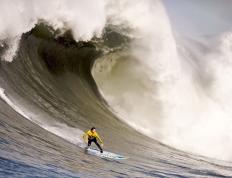 开云官网-闸门与洪流，当小贾伦一手掐灭爵士脉搏，国王的闪电战已呼啸而过