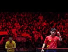 开云体育官方网站-新加坡选手荣登领奖台，精湛技艺令人惊叹