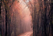 开云体育登录-包含蒙特卡洛大师赛横扫年终总决赛，纳达尔状态火热的词条