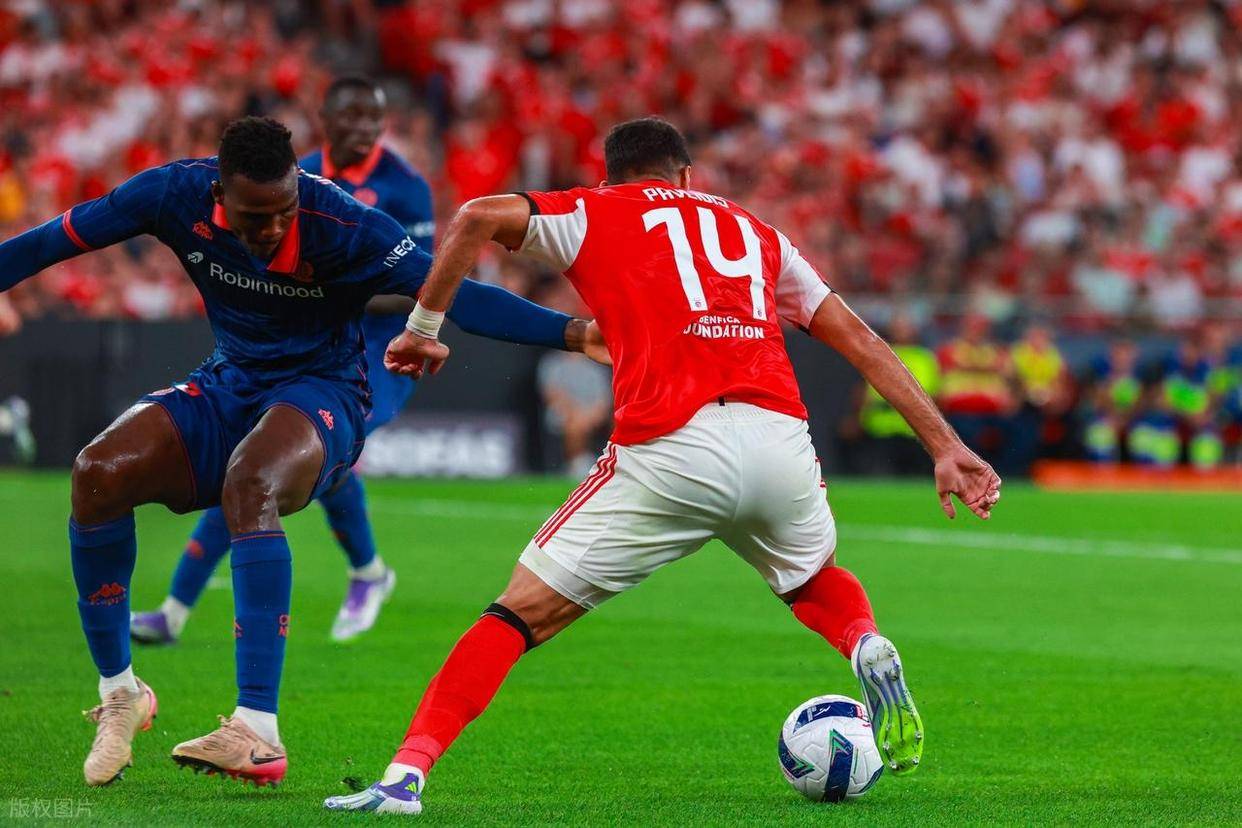 开云体育平台APP-关于尼斯主场无胜,法甲联赛榜首之争越发激烈的信息