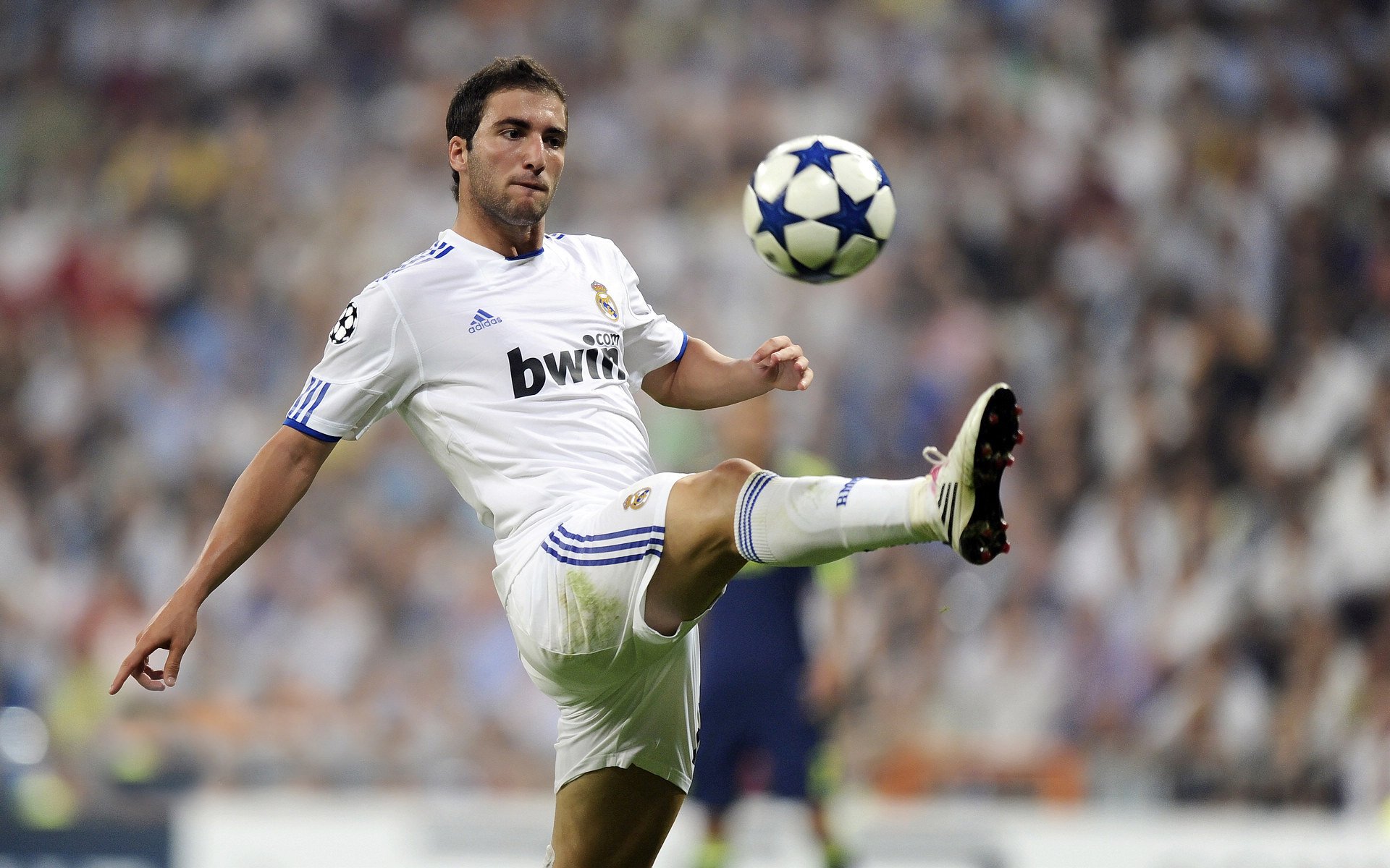 开云体育官网-胜利的两种方程式，广厦团队的铁壁与班凯罗的利刃